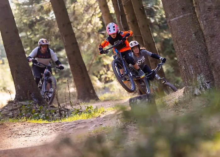 Konsumhotel Am Park 4* Oberhof (Thuringia)